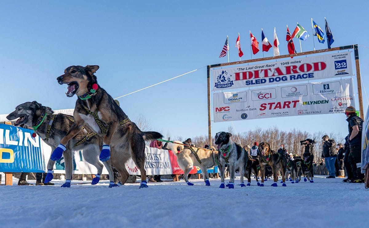 ((🔴STREAMING)) 2024 Iditarod Sled Dog Race Livestream LIVE STREAMING