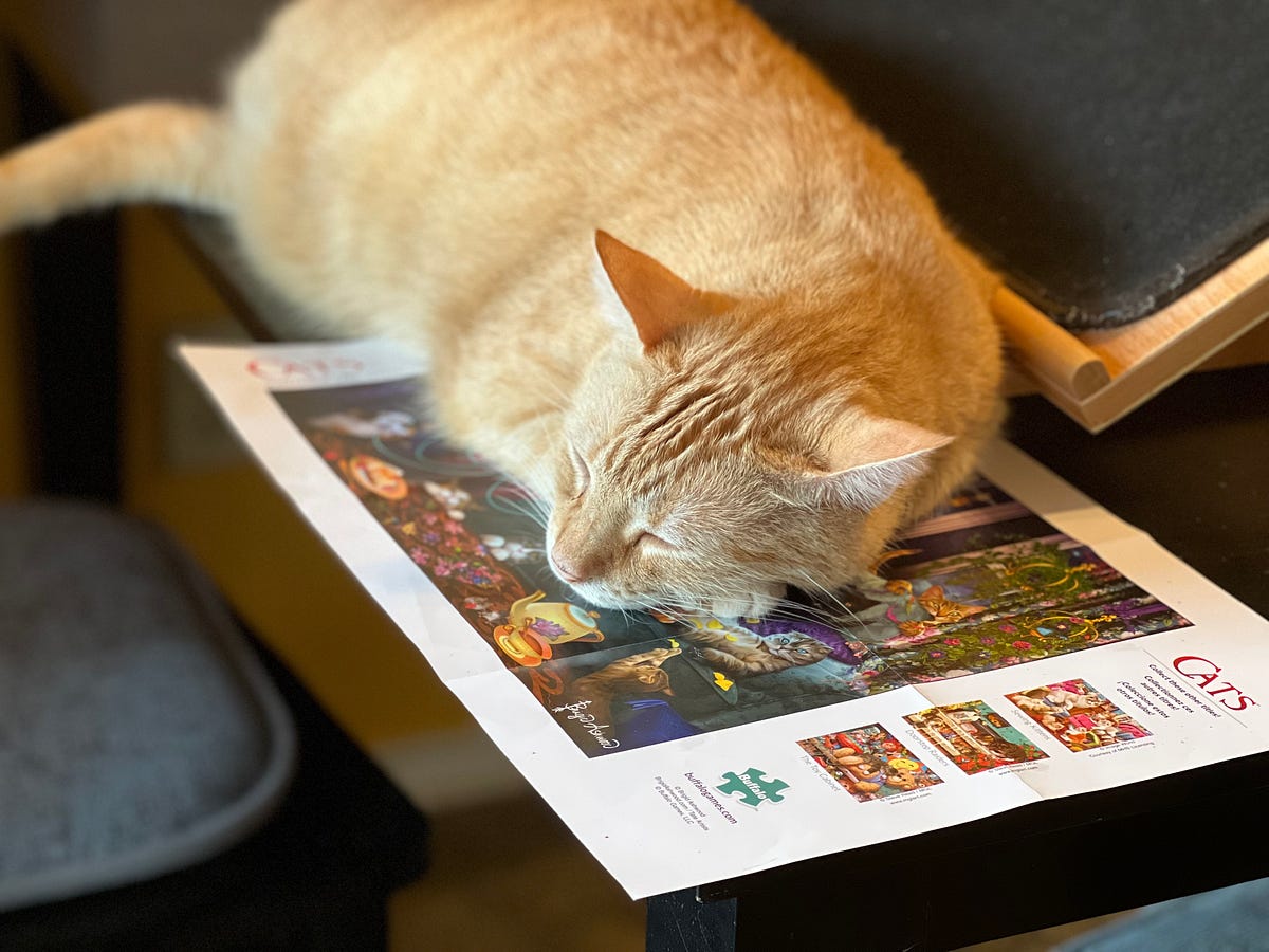 Cats Helping with Jigsaw Puzzles. Wallace thought this was a good place ...