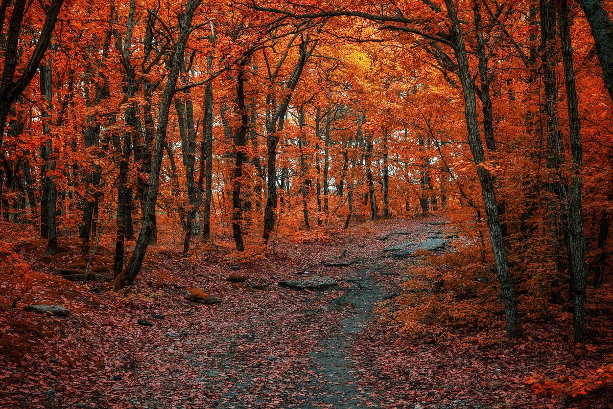 Autumn Speaks In Hues. REMEMBERING | by Ember Crowns | Medium
