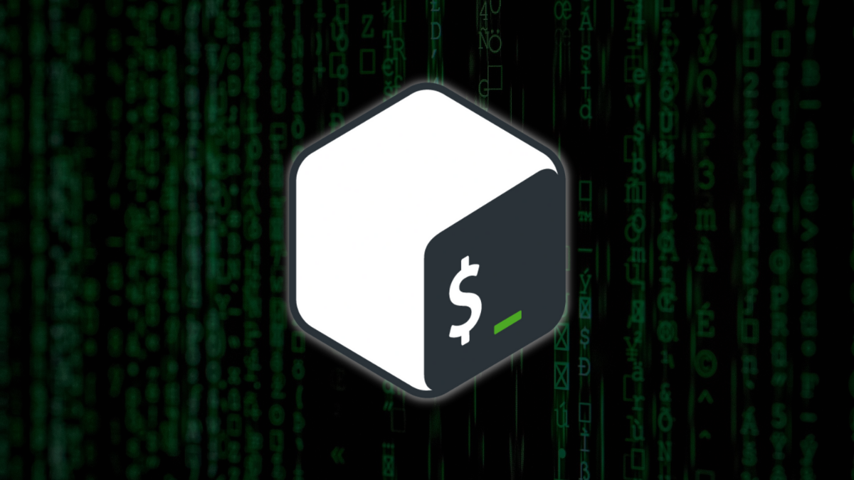 Day 5: More about the Linux Shell