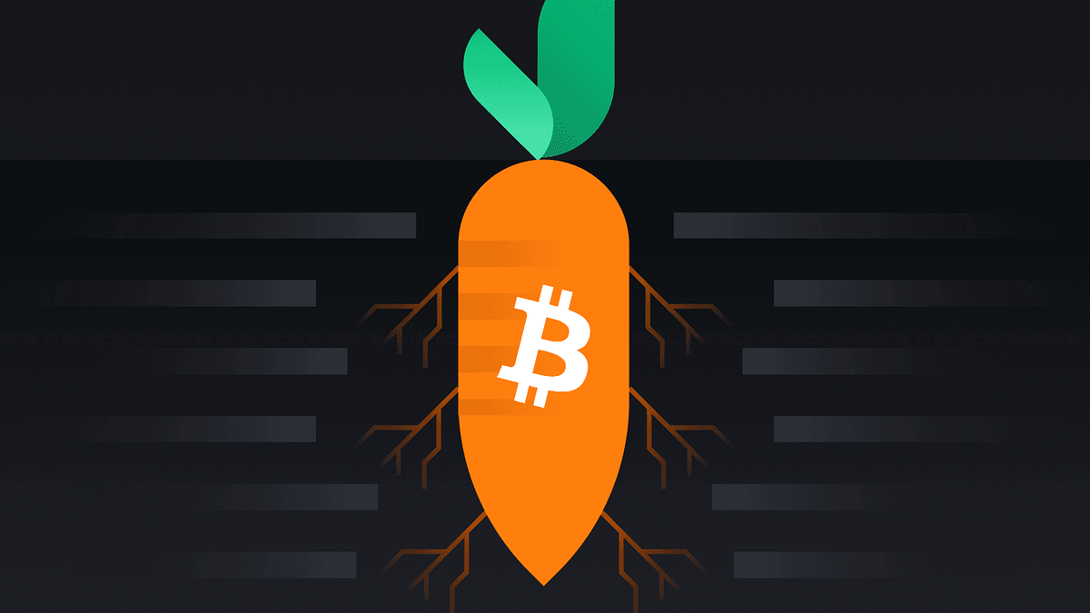 🥕 Bitcoin si rinnova con Taproot | by Decrypted | Medium