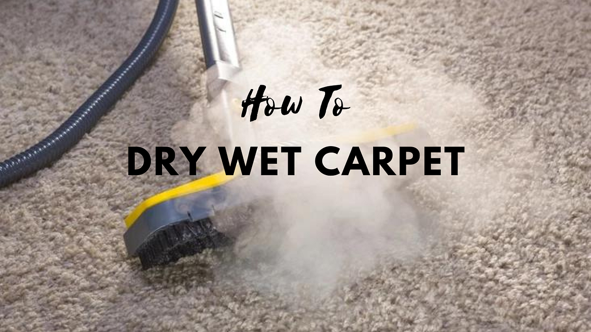 How to Dry Wet Carpet Without Vacuum — 2023 Guide by najiya akhter