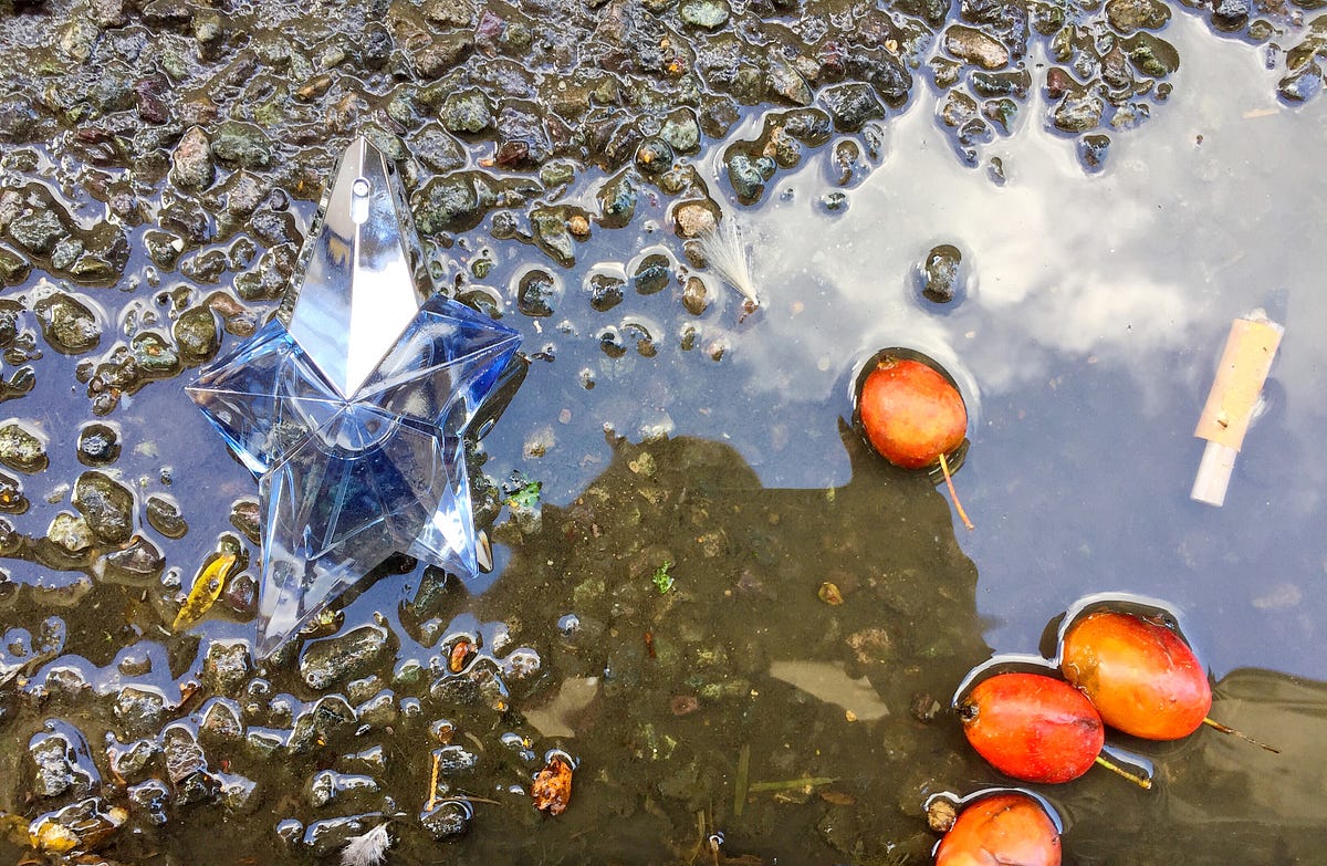 Angel by Thierry Mugler why great perfumes smell like death by