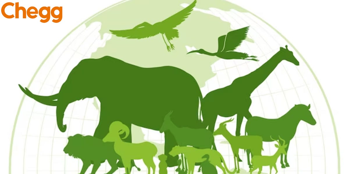 MSc Zoology Career Options & Future Job Prospects by Chegg India