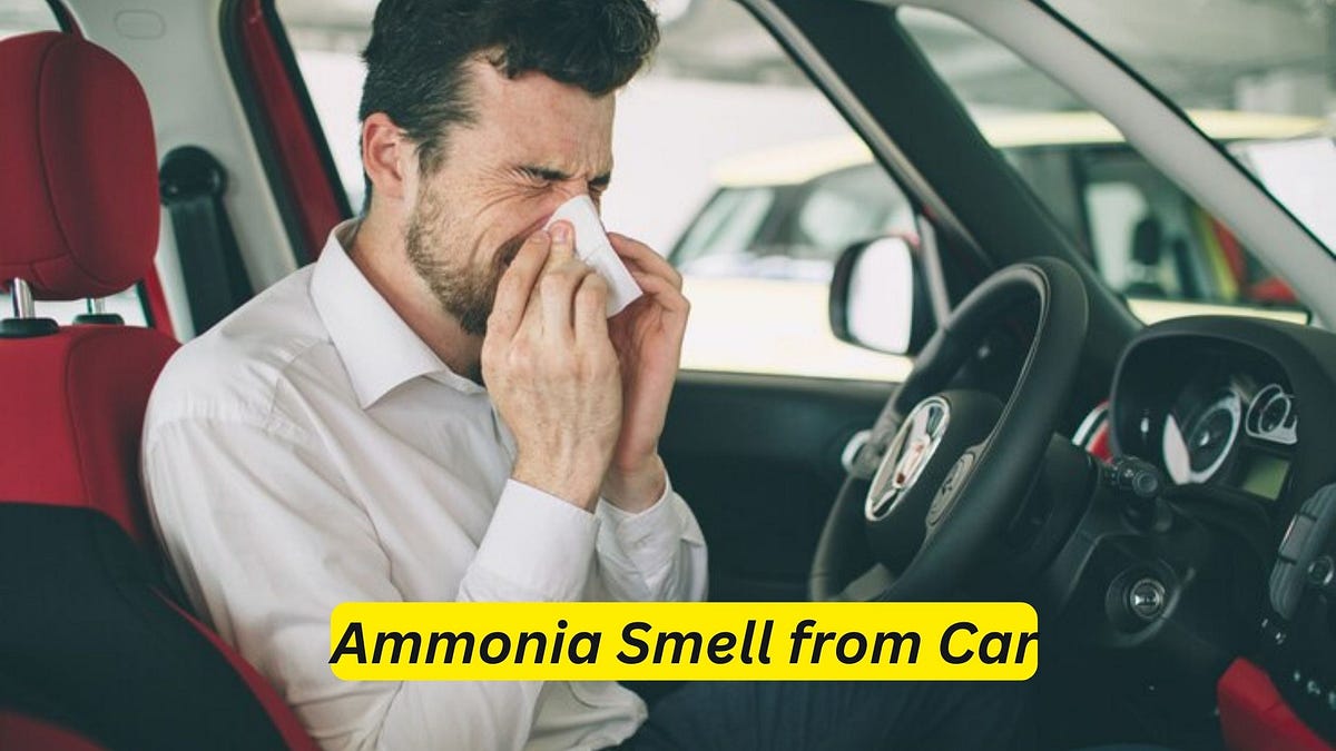 Ammonia Smell from Car Get Rid of the Odor Fast! by Car Individuals