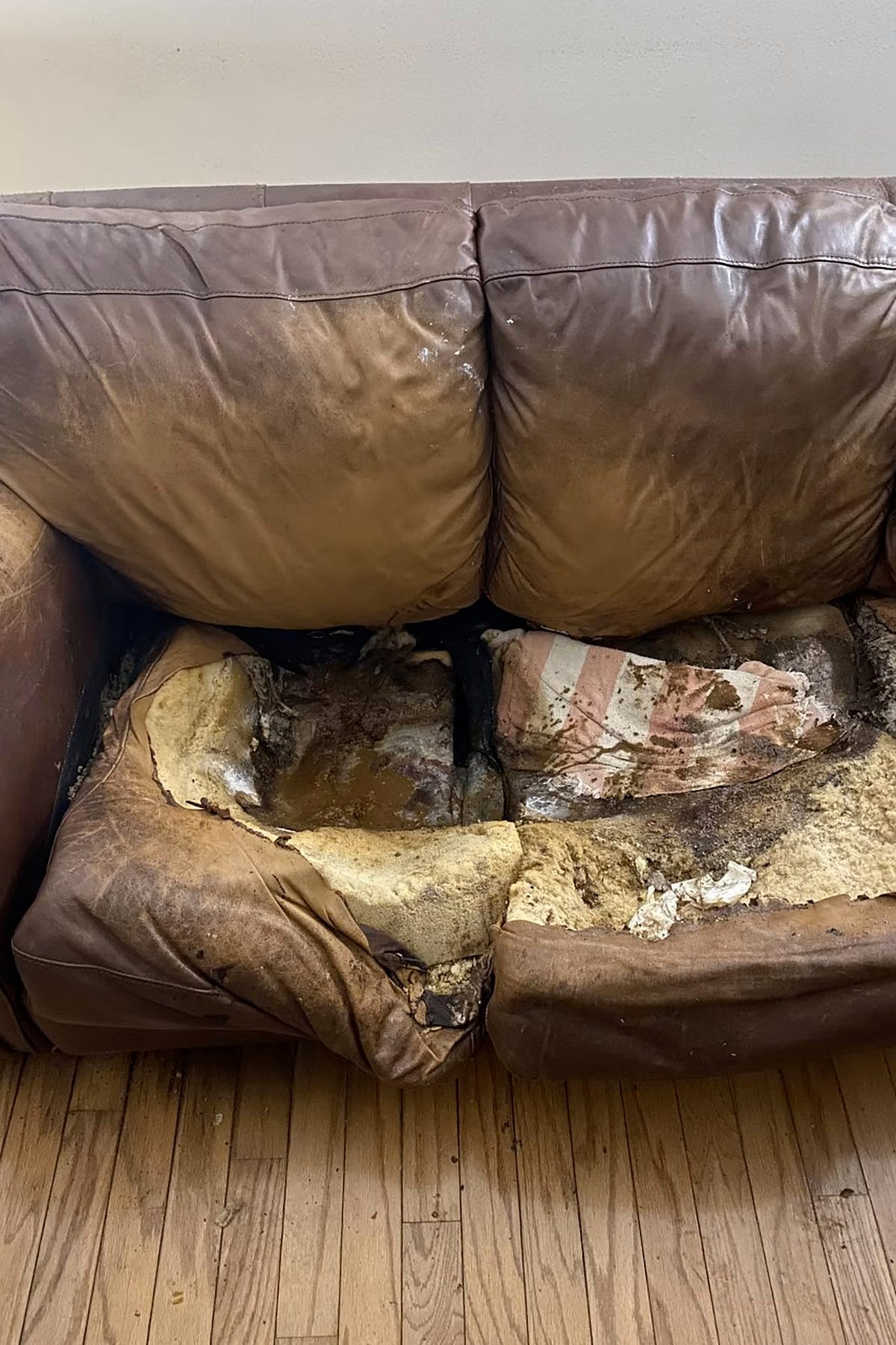 They left her body fused to the sofa for 12 YEARS by Victoria Suzanne