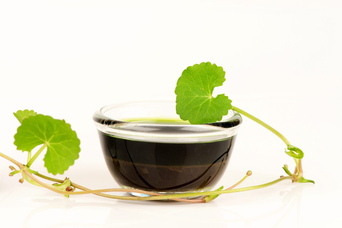 Gotu Kola in Skincare: A Comprehensive Guide to its Benefits for the 
