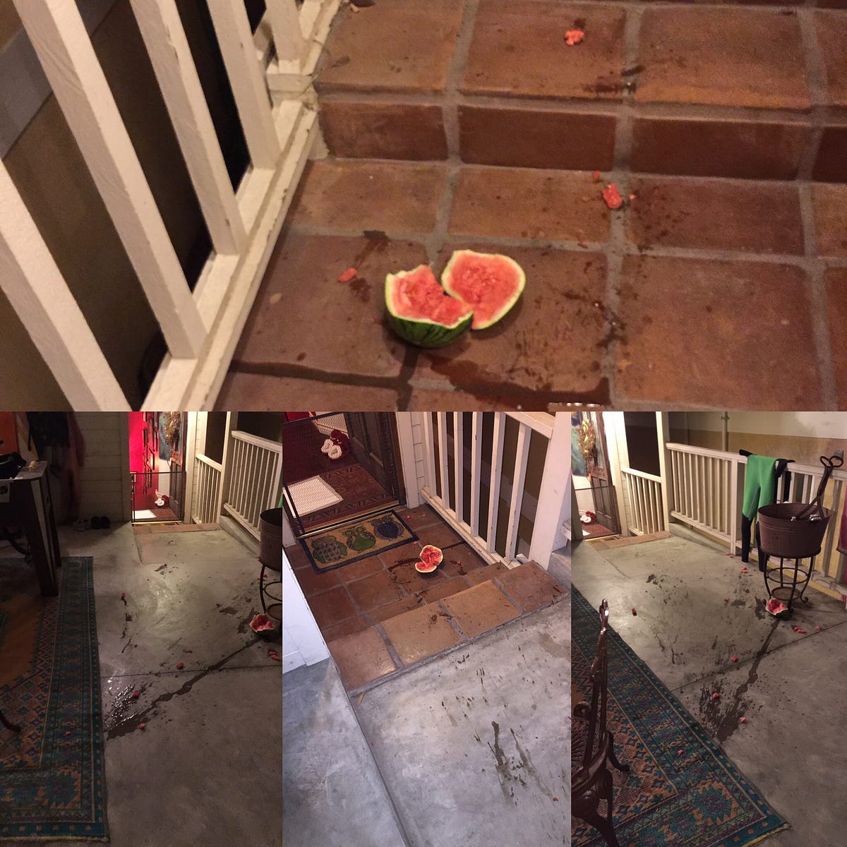 Someone left a watermelon on their doorstep overnight. Nobody lives in that  house. : r/mildlyinteresting