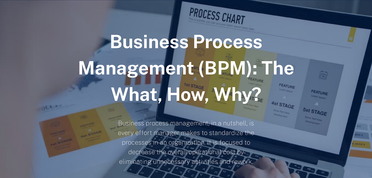 Business Process Management (BPM) The What, How, Why? by Levi Vaguez