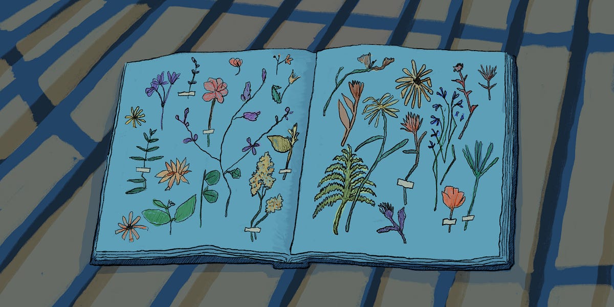 The books that saved my life in prison by chris wilson medium
