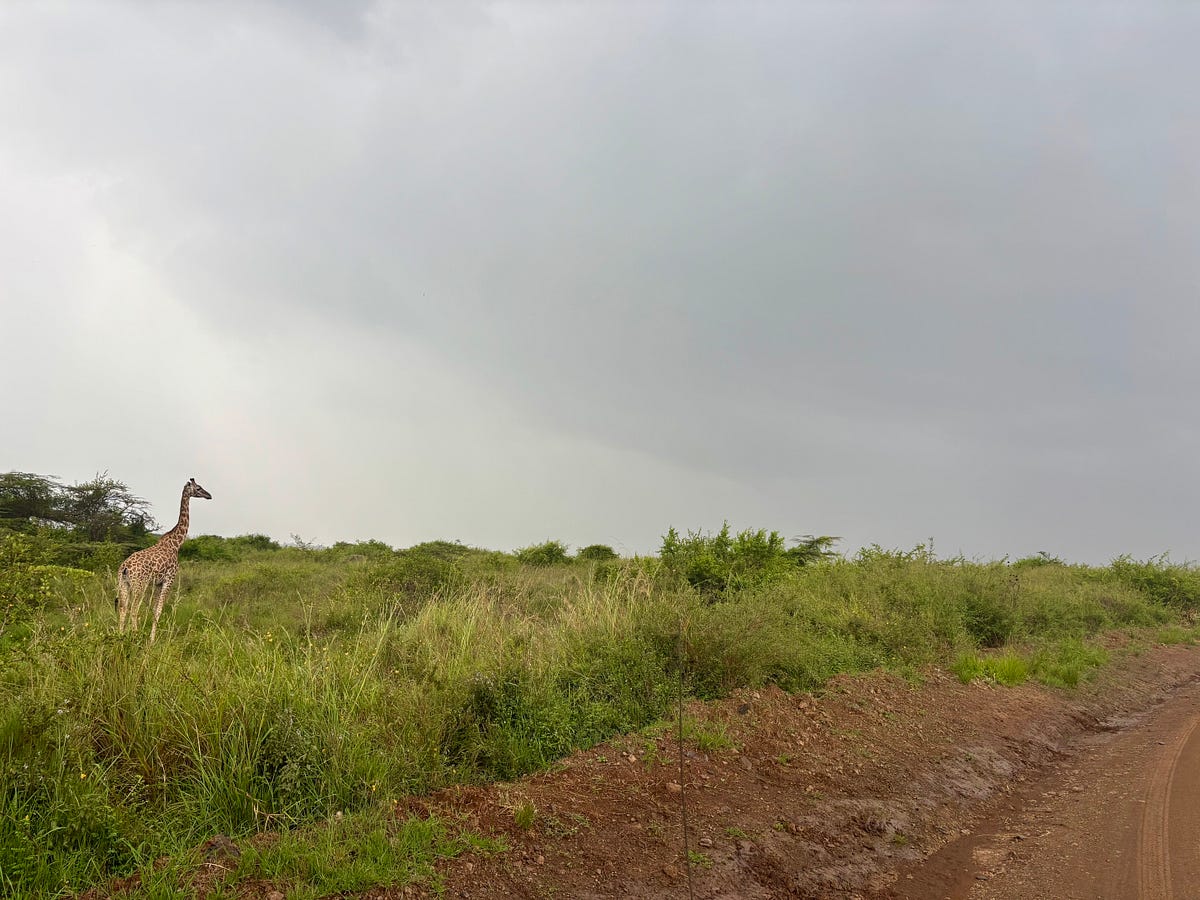 Itinerary for Three Days in Nairobi, Kenya - The Anonymous Traveler