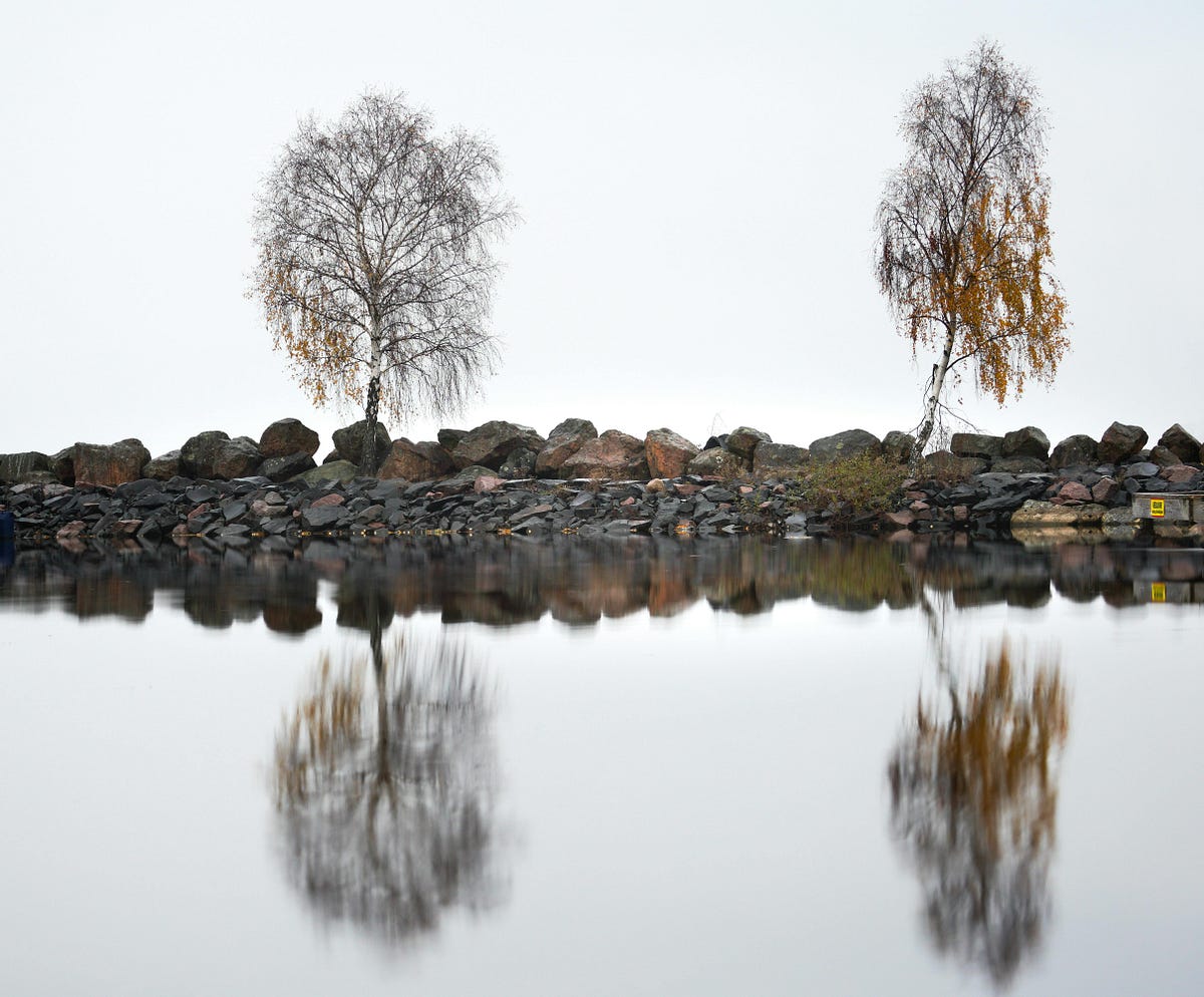 Understanding Deduplication Methods: Ways to Preserve the Integrity of Your Data