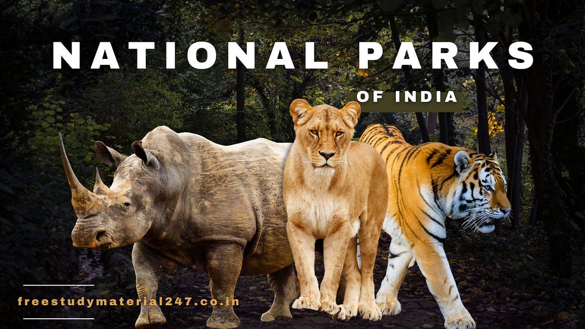 Largest National Parks in India. Title: Exploring the Vastness: India’s ...