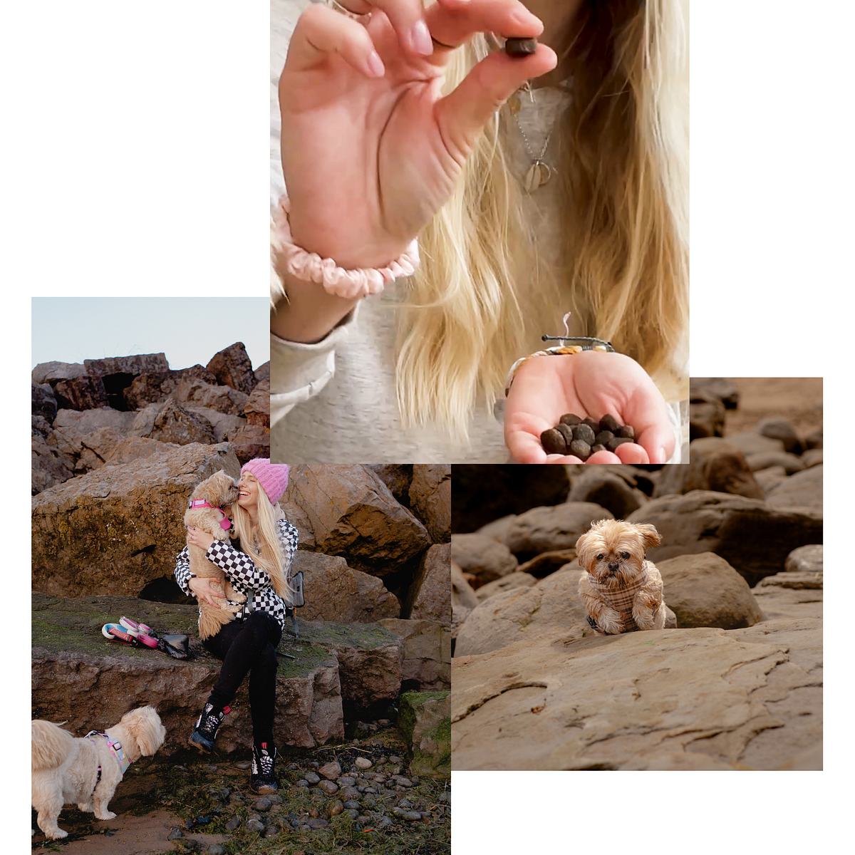 Devoted Pet Parents!. Meet Ronja, the devoted dog mom to… by Devoted