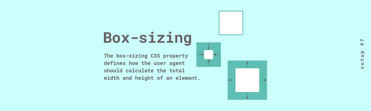 Cutup #7 Box-sizing. Today, I would like to share with you… | by nana |  Design & Code Repository | Medium