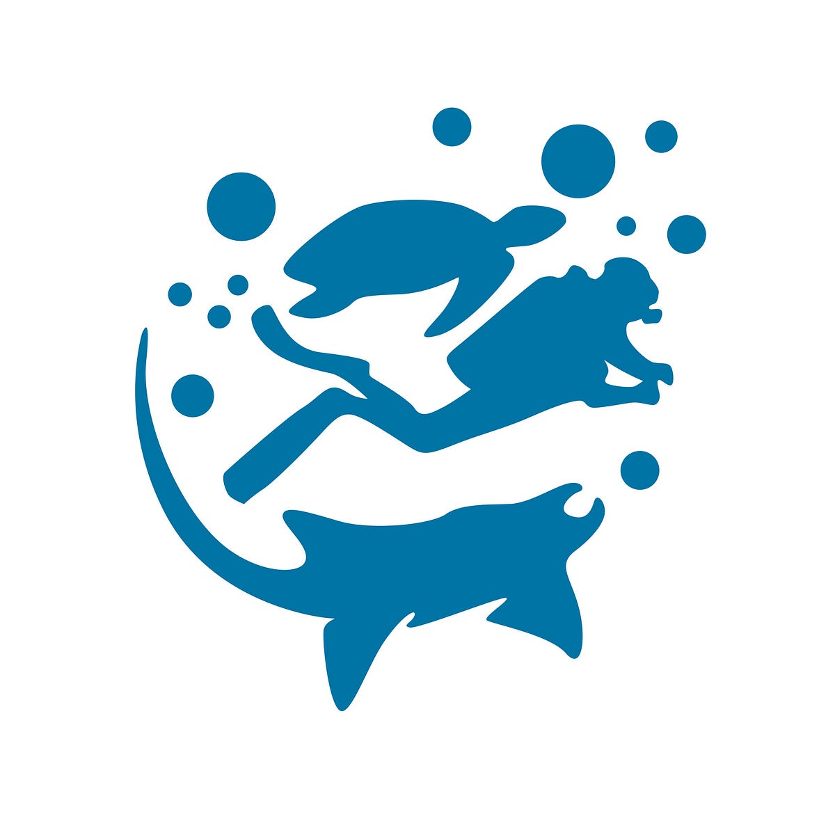 Scuba Certification Scuba Diver Press