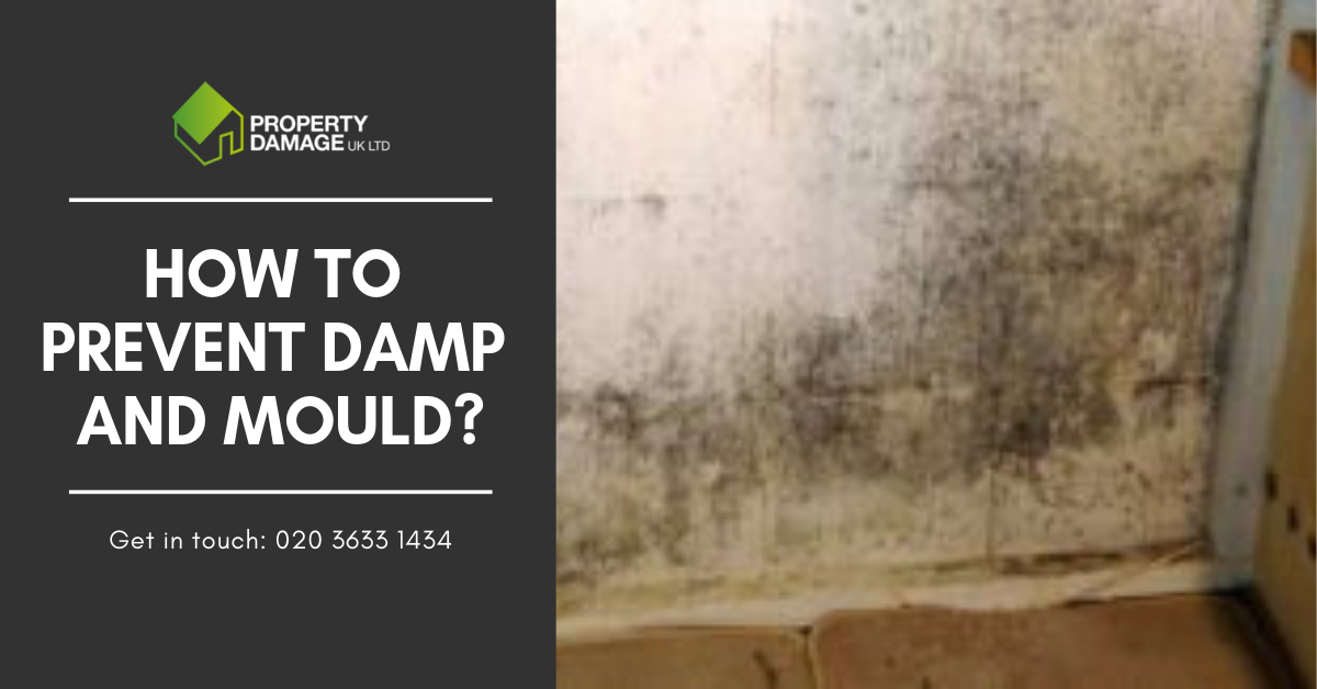 How to prevent damp and mould. Do you know how you could prevent damp