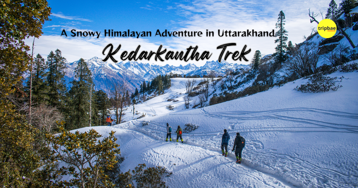When to Trek Kedarkantha? A Seasonal Guide to Plan Your Perfect Adventure
