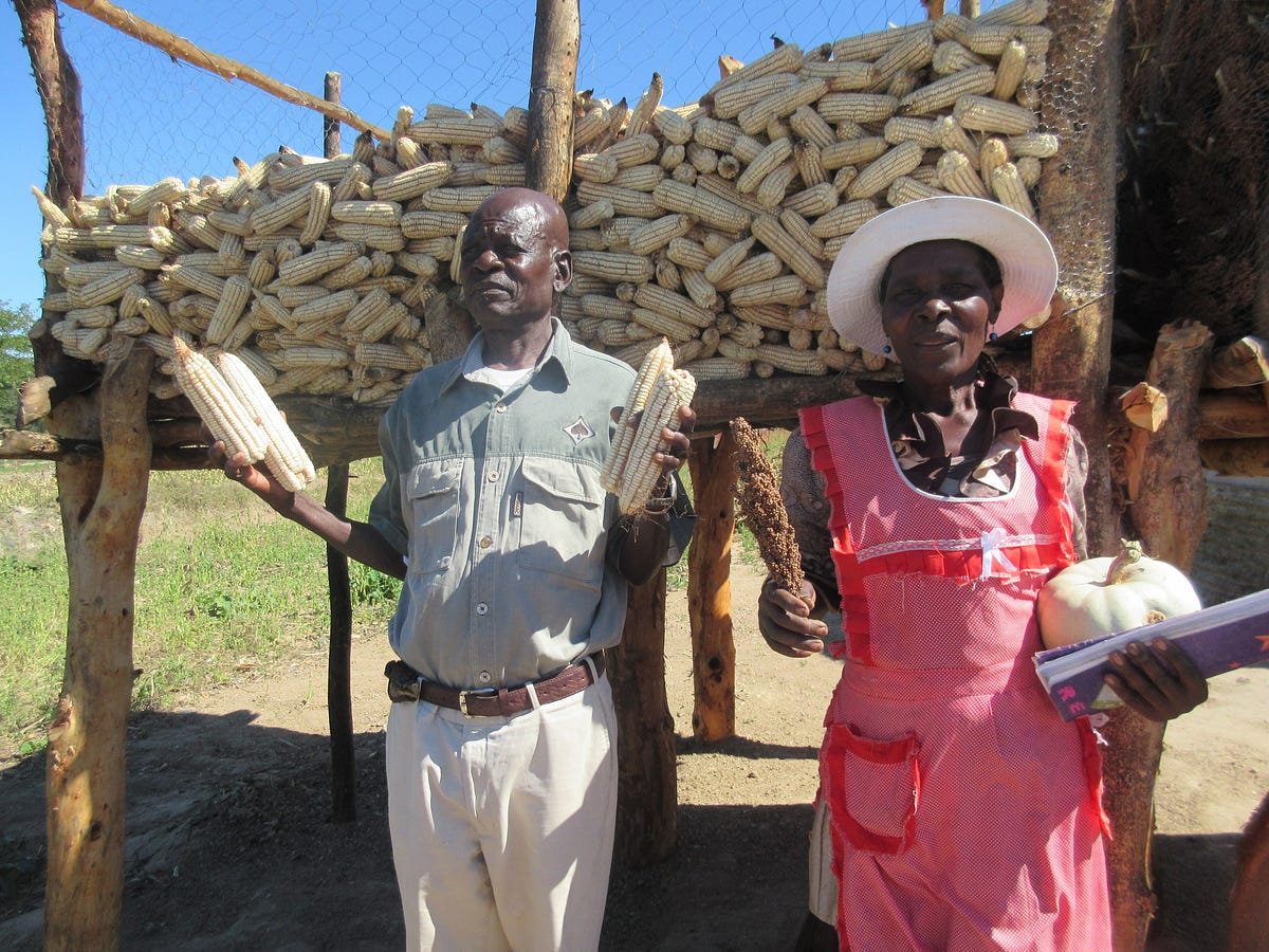 Commitment for Life in Zimbabwe: Leading by example | by Christian Aid