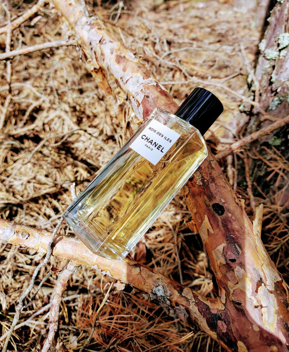 Bois des Iles. To Chanel №5's timeless blonde…, by Erin Lurainey, The  Perfumed Slattern