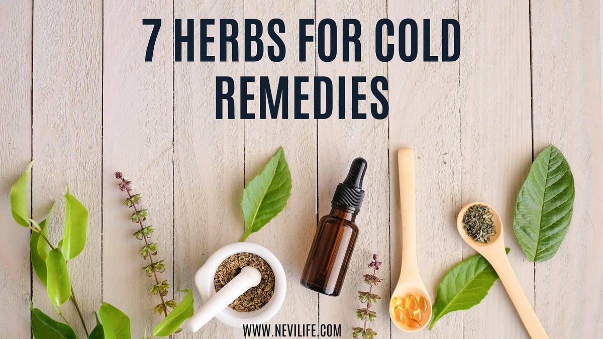 7 Herbs for Cold Remedies. What are the best herbs for cold… by