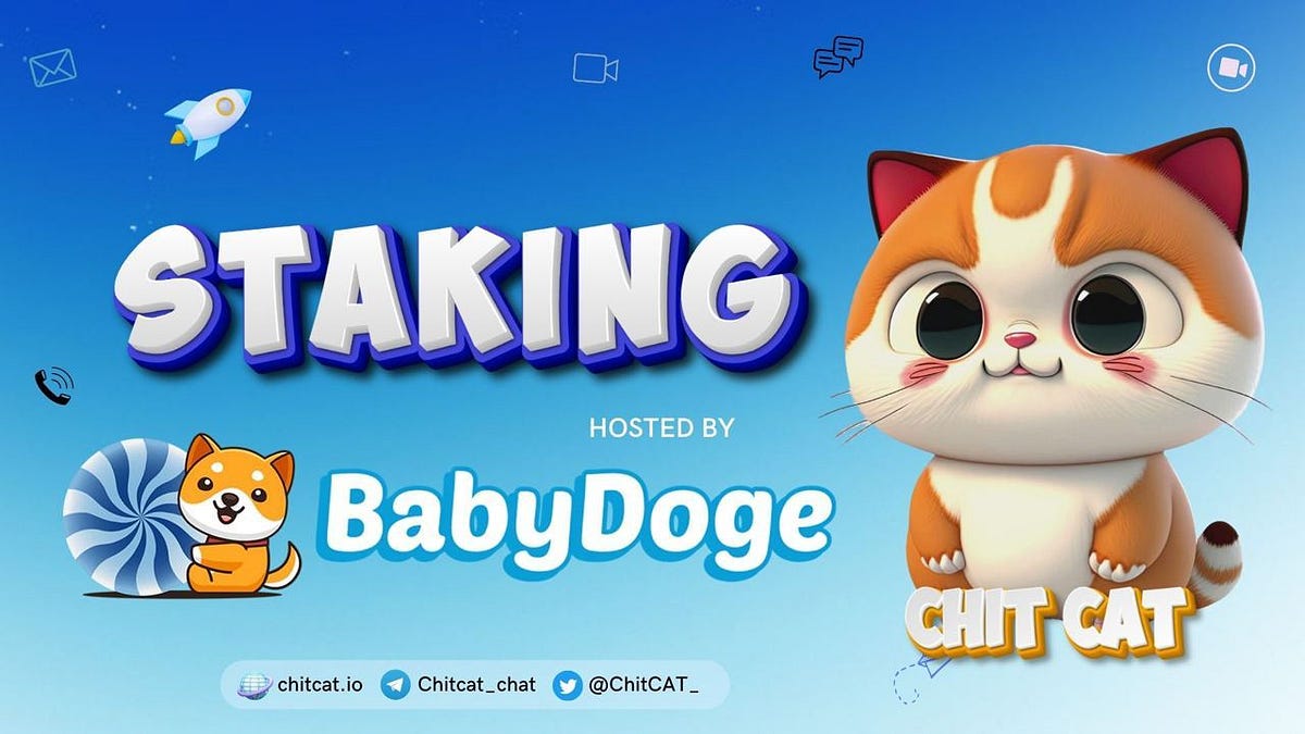 CHITCAT STAKING IS LIVE - ChitCAT - Medium