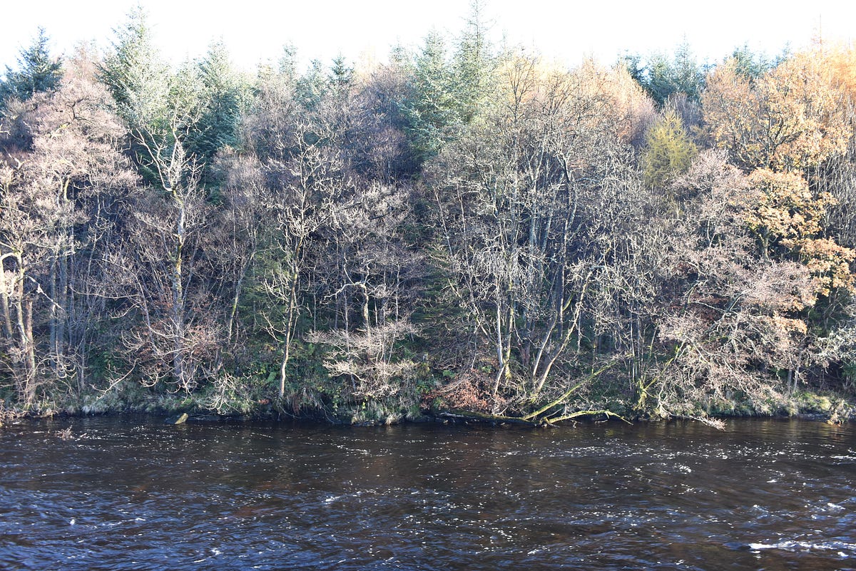 My Mist (a poem). I wish I could think of a line Like I… | by Jessica ...