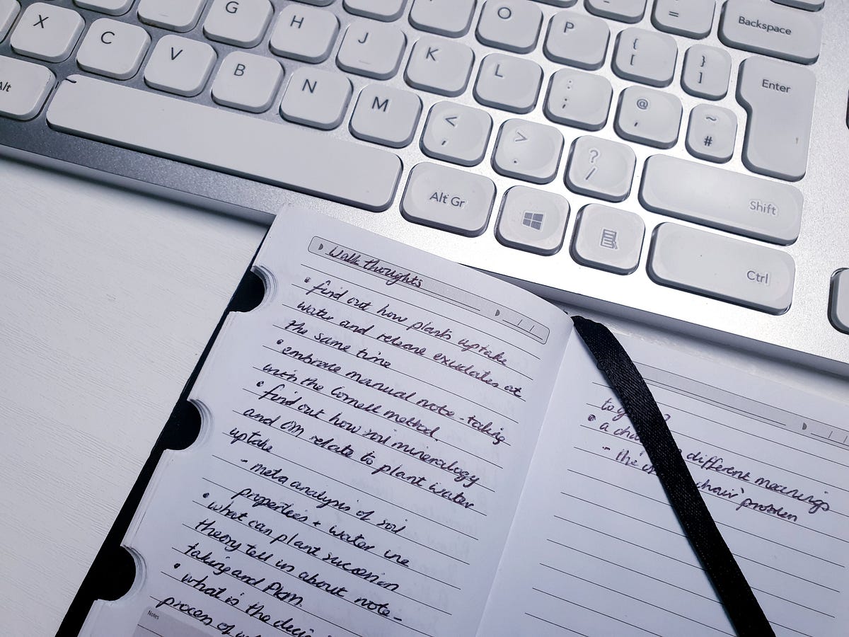 Cover of Boring To-Do Lists? Not If You Study Leonardo da Vinci