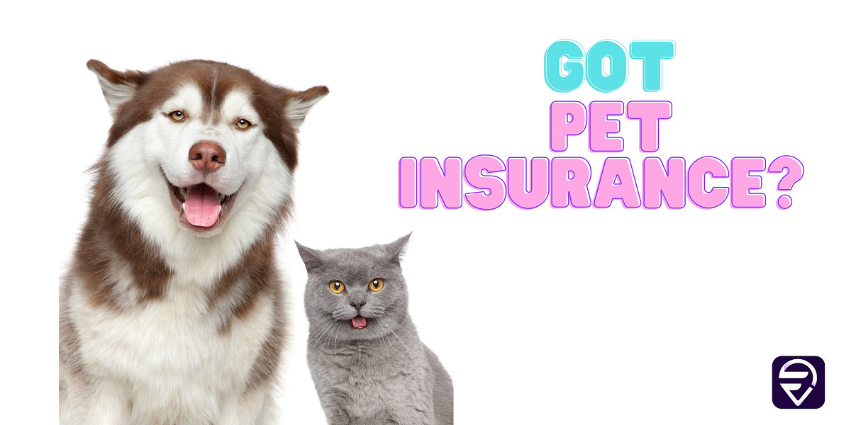 How to Manage Your Pet Insurance Deductible Strategies for