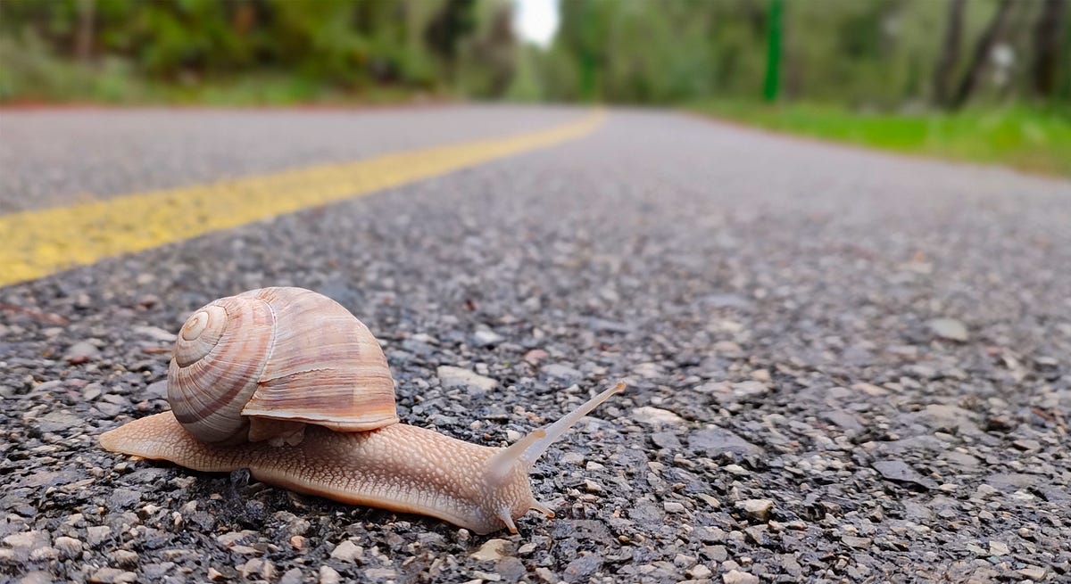 My Developers Are Too Slow. If you work in a company at the… | by ...