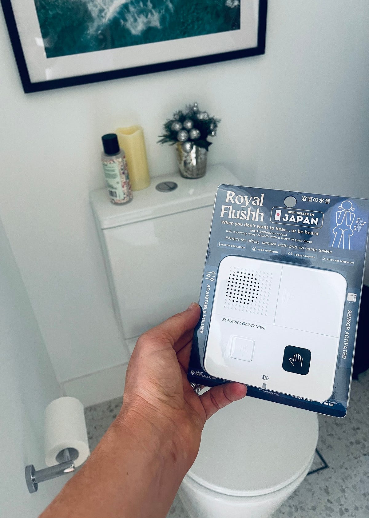 Exploring Royal Flushh Japan’s Toilet Sound Masker Revolution | by ...