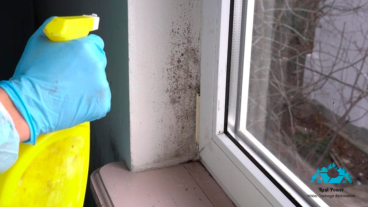 Effective Strategies for Removing Mold from Walls and Ceilings by