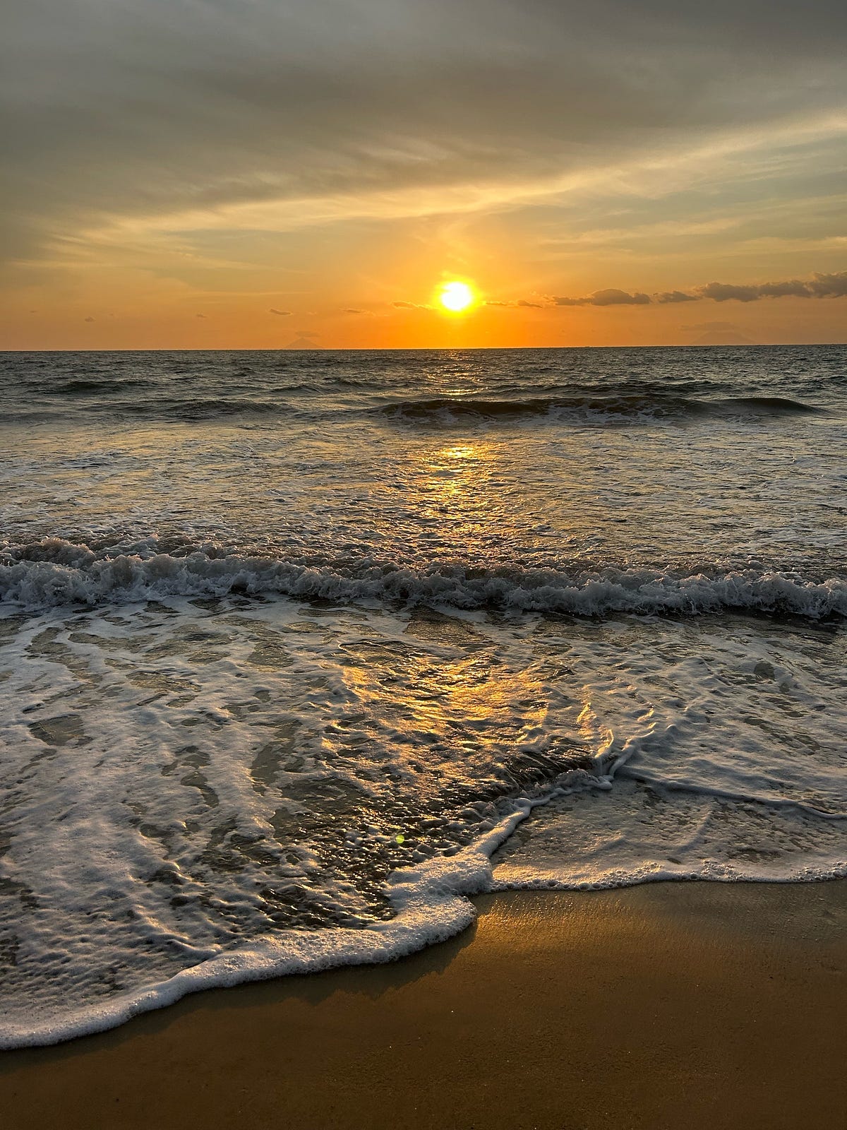 The seashell. I think I caught a beautiful seashell… | by Mitha Sophia ...