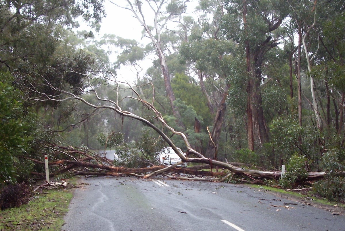 Breaking Slow Road Reopens After Unexpected Blockage - hy3gbui