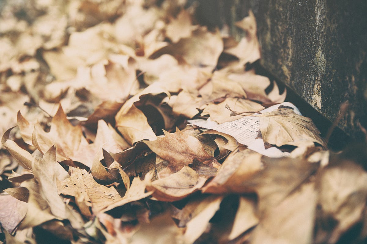 Shivers. Tired leaves hide the trace of dense senses. Shadows speak