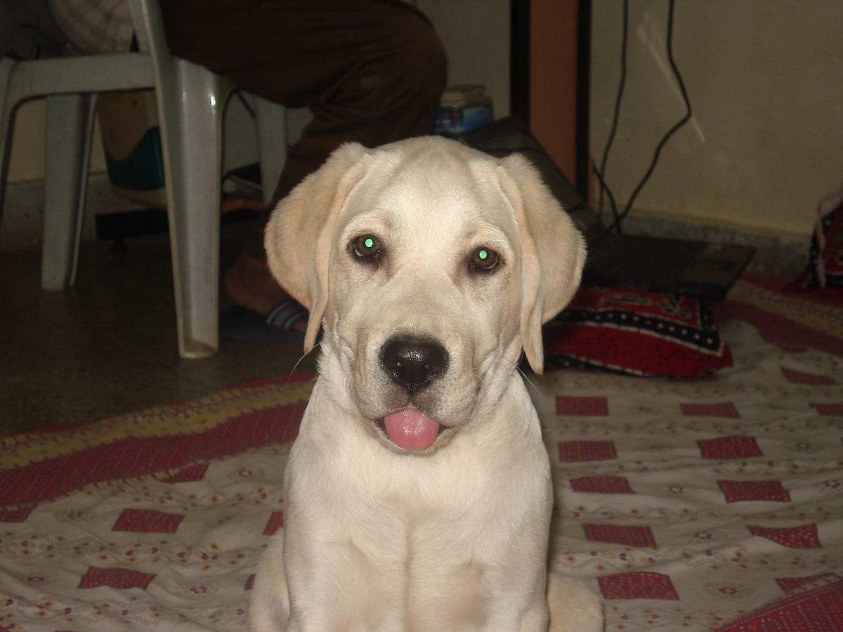 Distributed Computing — Approaches | by Technology & Life | Medium