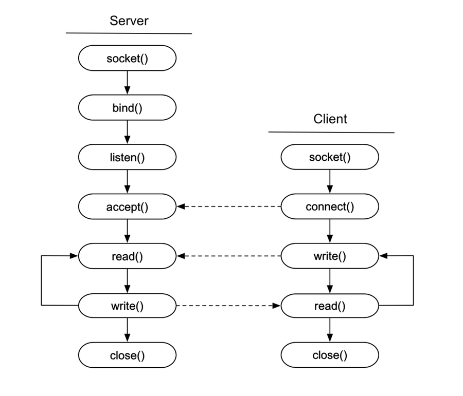 Understanding How a Server Works | by The Pragmatic Programmers | The ...