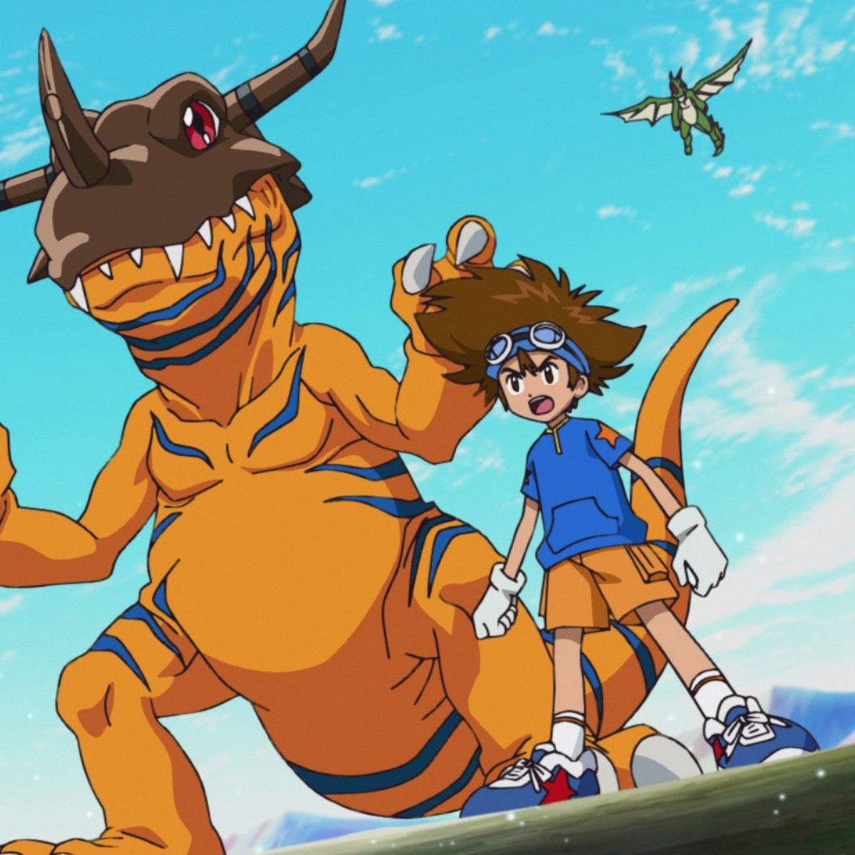 What Are The Different Phases Of The Digimon Trading Card Game
