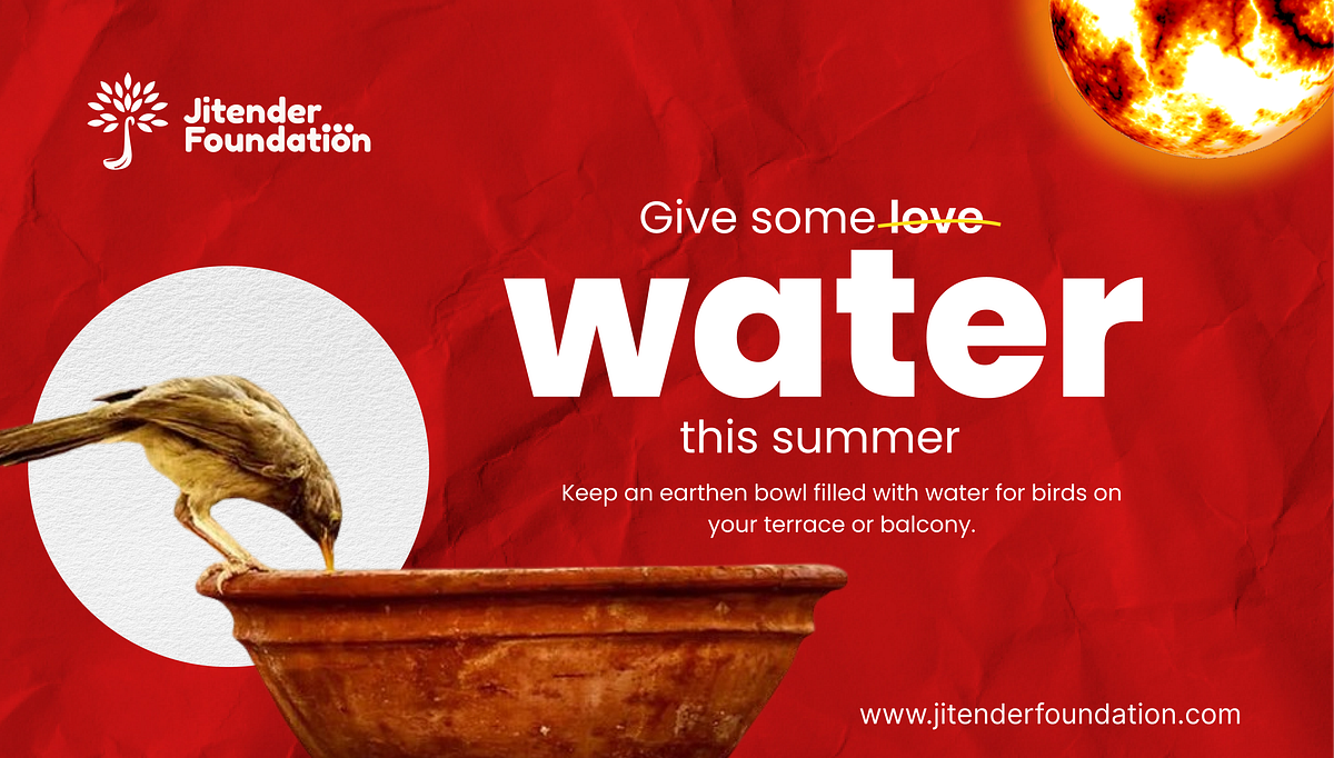 Let s Cool Them Down This Summer Small Steps To Feed Water To Animals let-s-cool-them-down-this-summer-small-steps-to-feed-water-to-animals