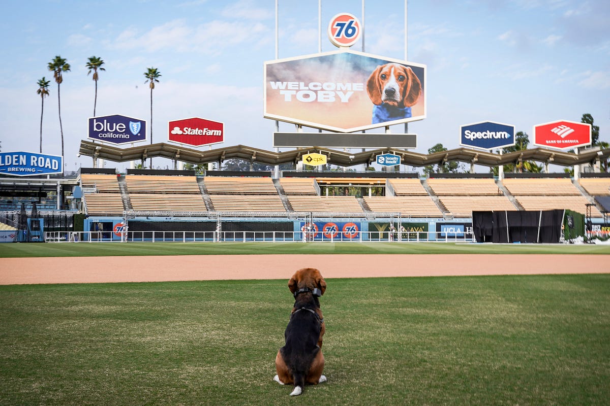 Pets First Los Angeles Dodgers Dog Hoodie Tee, Medium