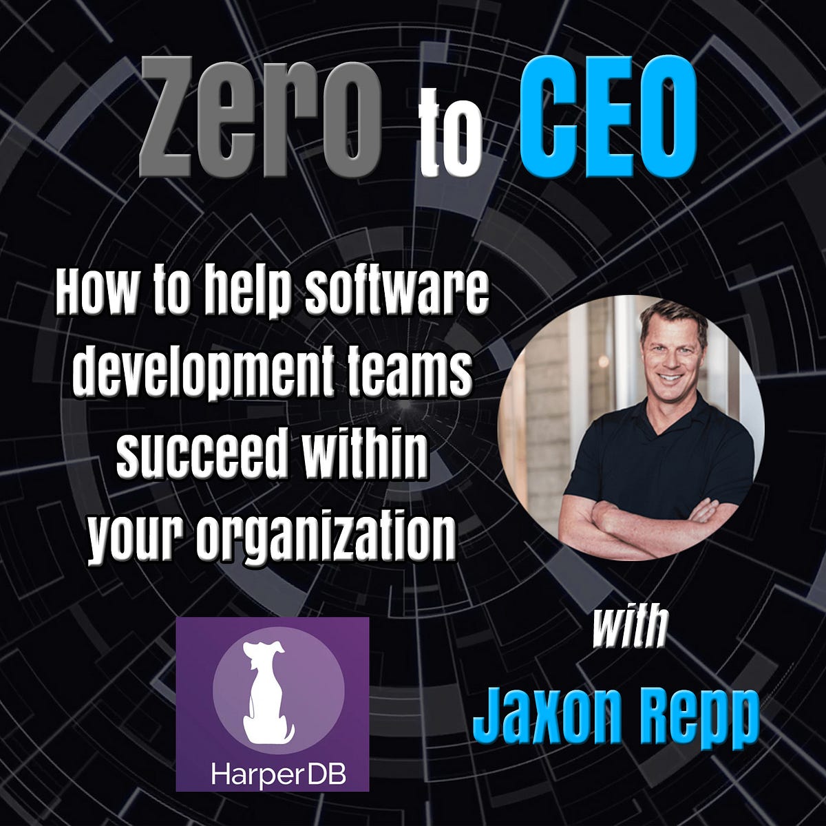 Zero to CEO How to help software development teams succeed within your