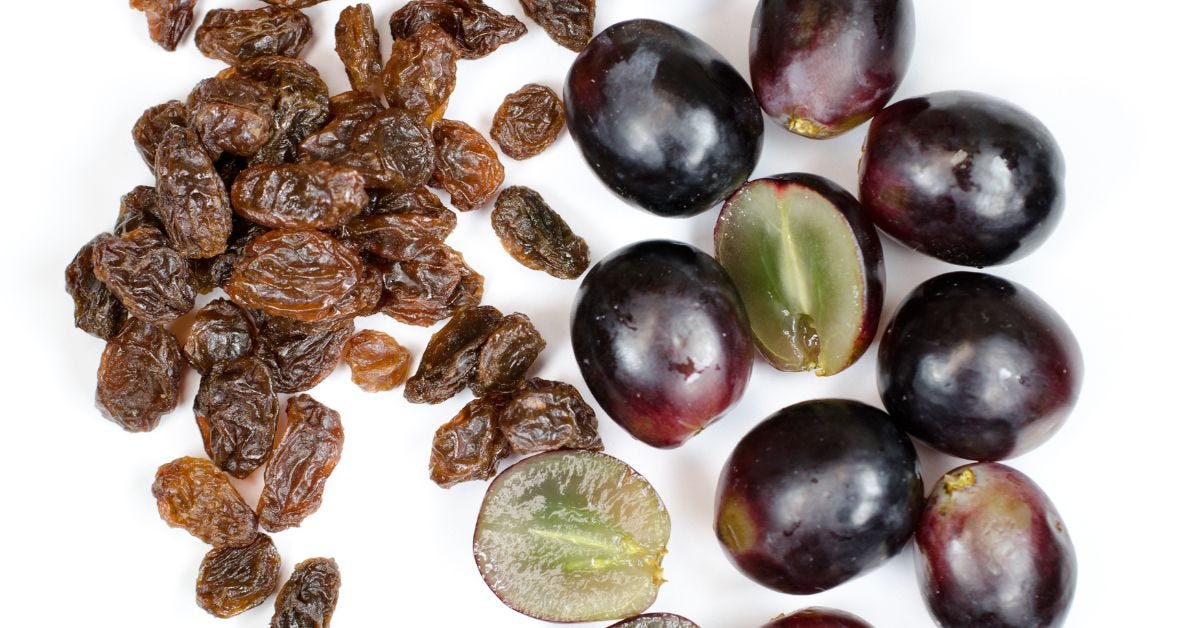 Are grapes and raisins the same? Samirpandey Medium