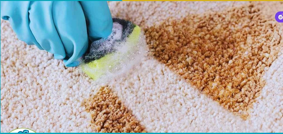 How to Get Coffee Stains Out of Carpet? by Cleanittomax Medium