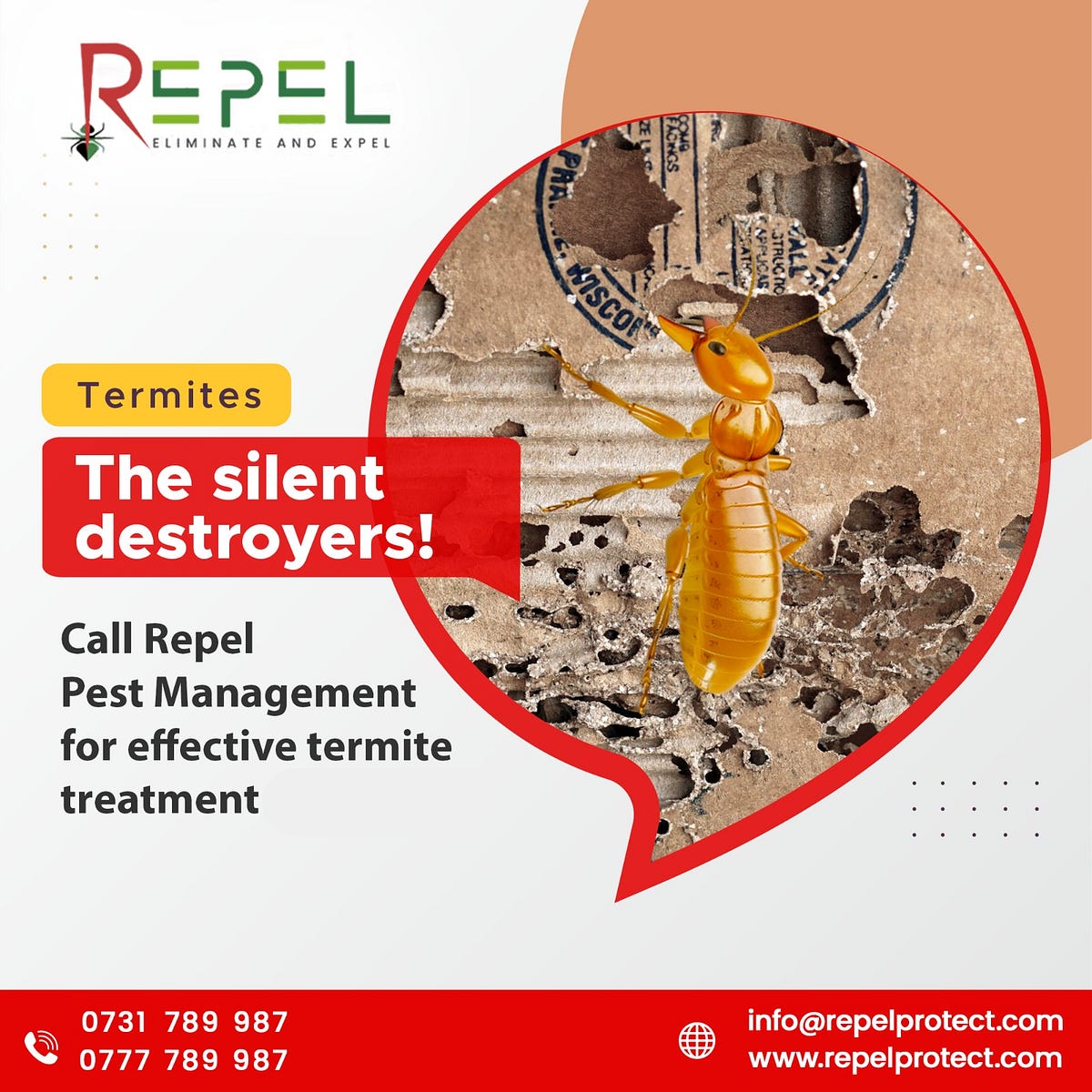 Effective Termite Control Solutions In Nairobi By Repel Pest Management By Repel Protect Jul