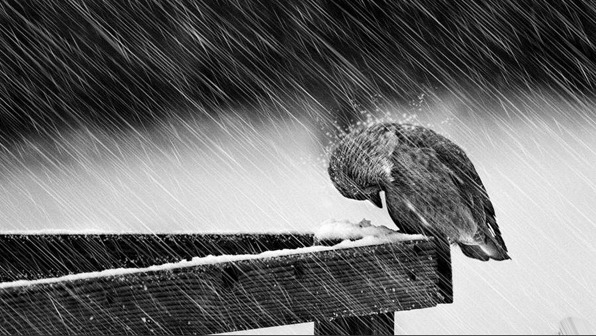 Hacking with scala sprayjson. Happy devOps by (λx.x)eranga Effectz