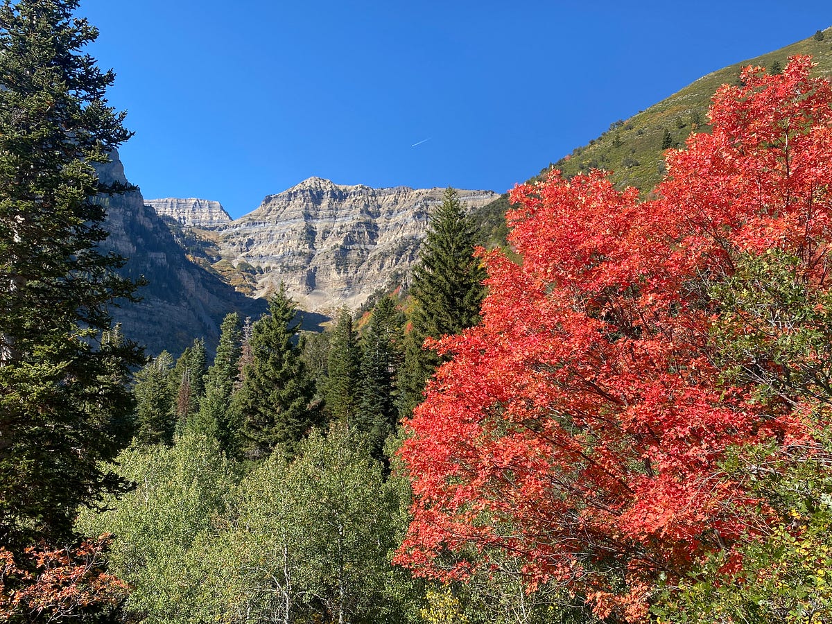 Utah’s Autumn Colors Rival New England by Floyd Mori Living Out