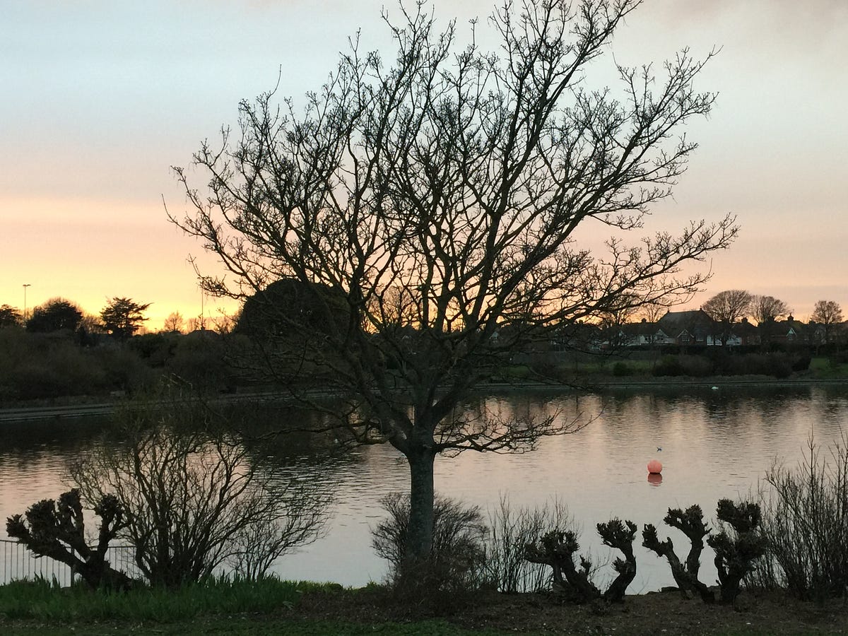 Lockdown Diary What I Have Learned from a Year in Lockdown by Susan