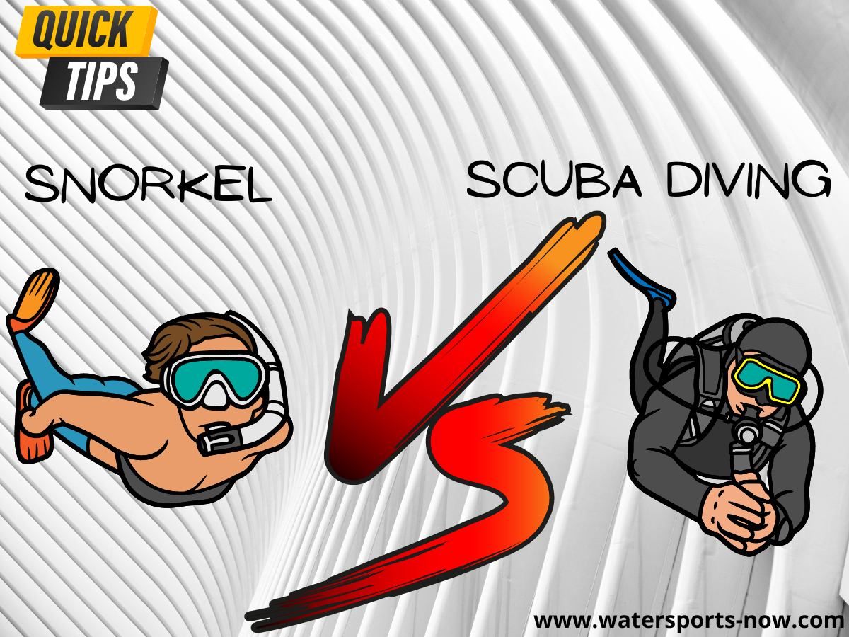 Snorkeling vs Scuba Diving Which One Is Better For You by Devdaru