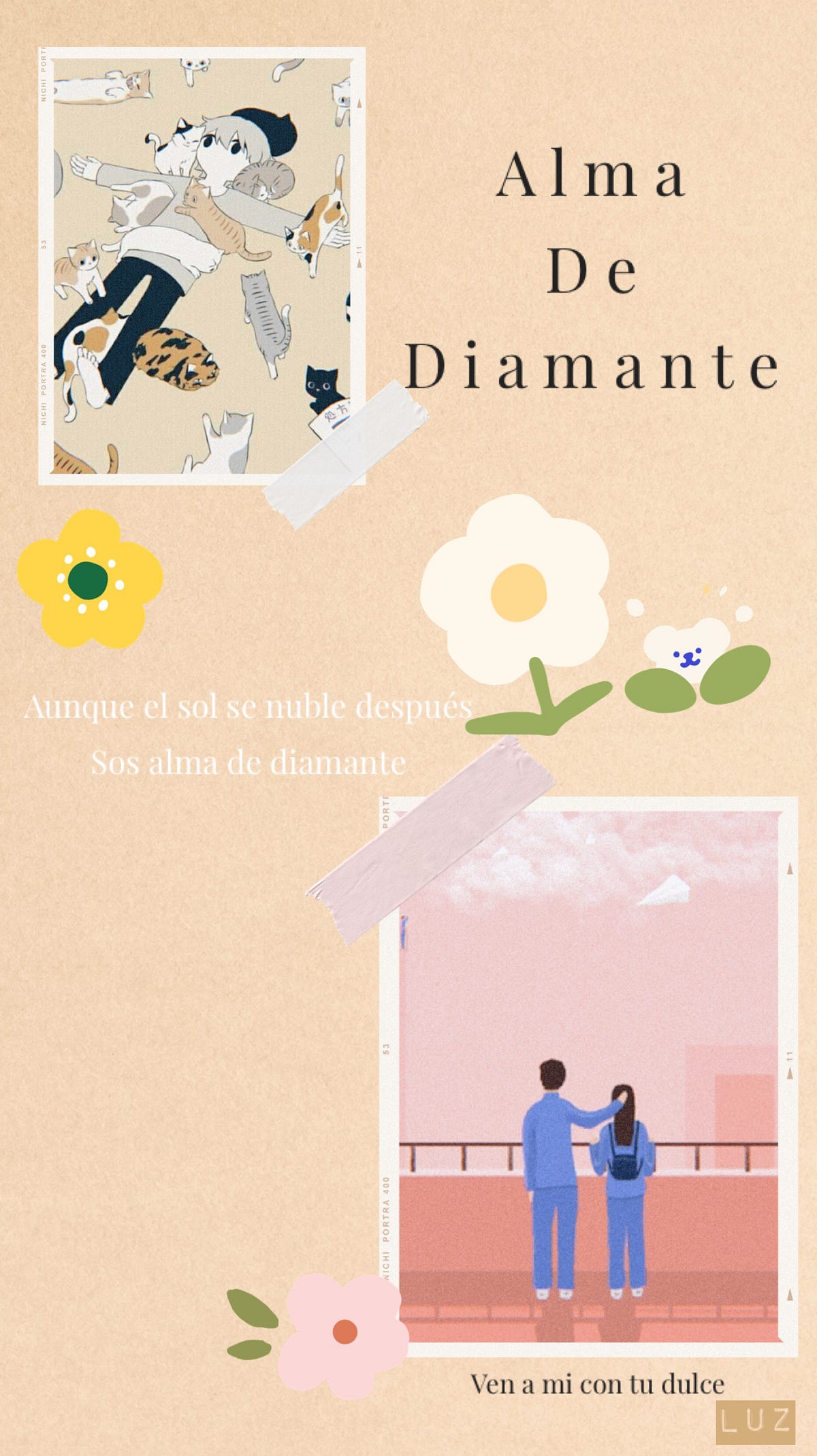 T o m i. “I built your walls around me” by Vale V23 Medium