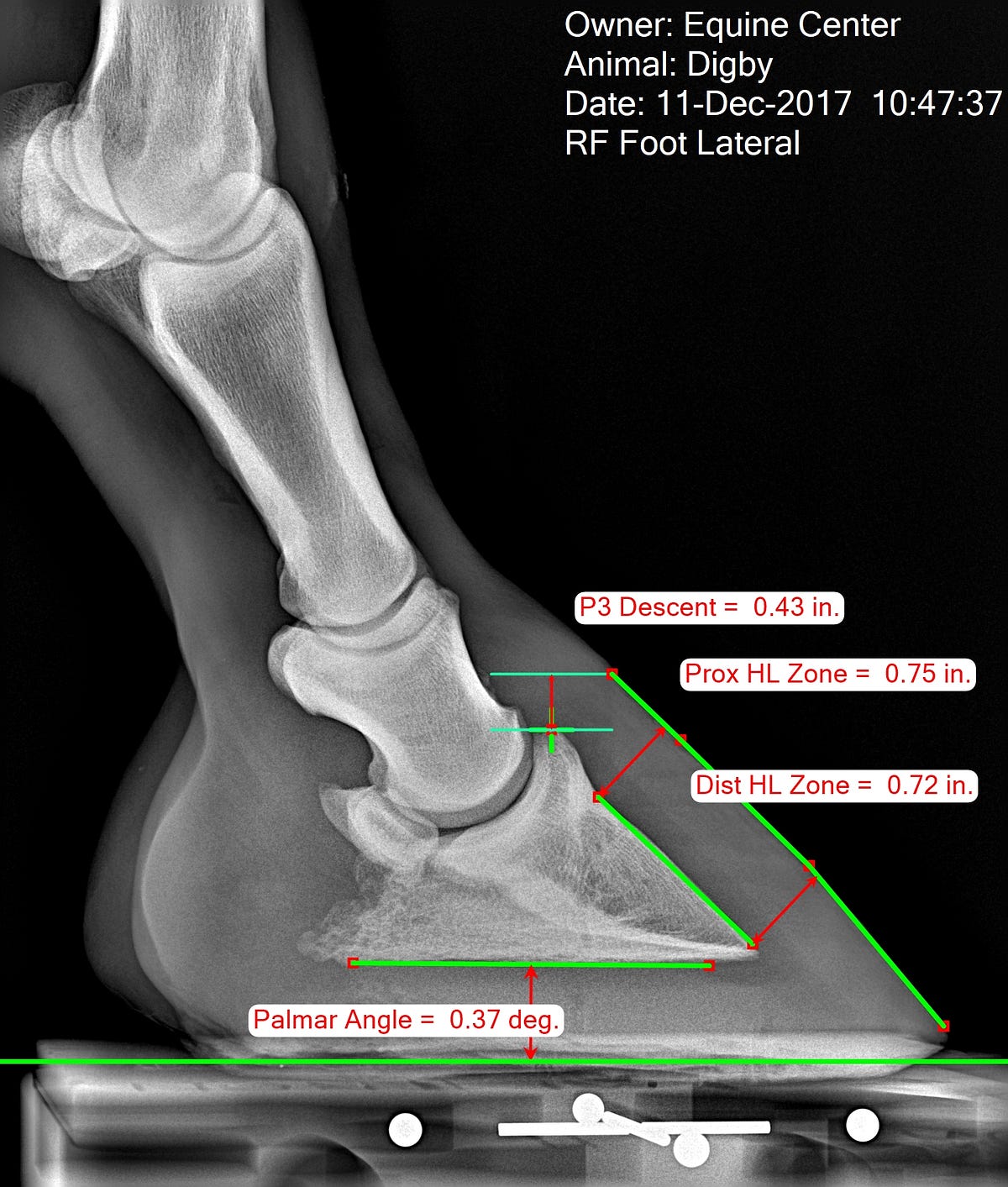 Measuring the Equine Hoof in Radiographs — a Focus on Calibration by